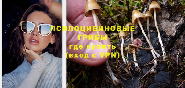 крисы Балахна