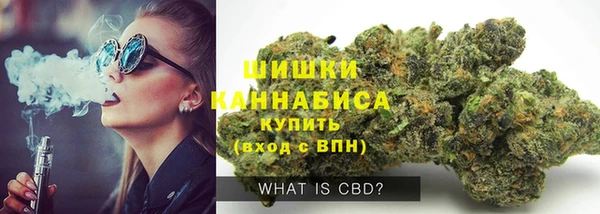 крисы Балахна