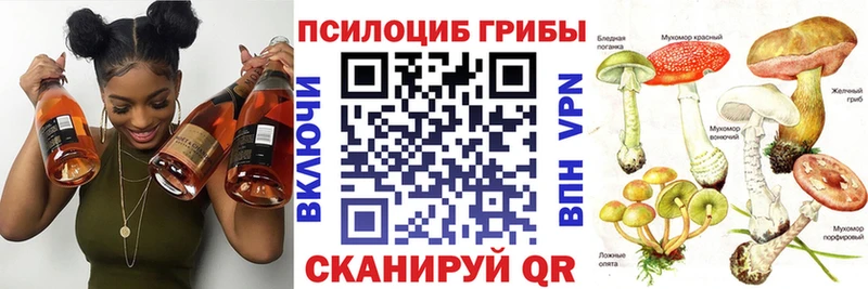Псилоцибиновые грибы Magic Shrooms  МЕГА ONION  Покровск 